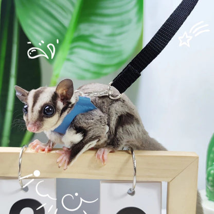 4 peças/conjunto de coleira + guia Sugar Quoll à prova de fugas ajustável para animais de estimação pequenos, hamsters, sugar gliders, esquilos