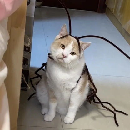 1 pacote de Fantasia de Gato de Barata, para RPG, Material para DIY Fácil, Fantasia Respirável para Pet