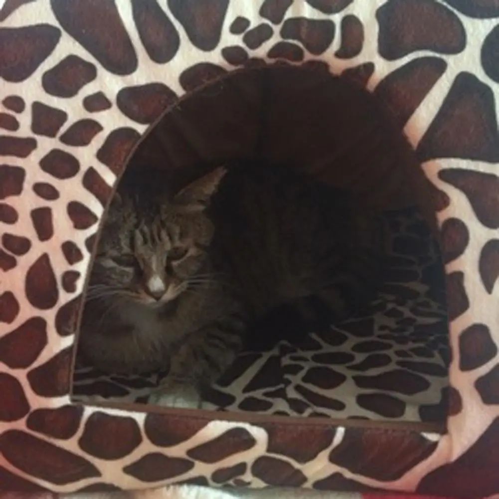 Tenda Casinha de Cachorro Gato Leopardo Morango Macia Casinha de Cachorro Canil Inverno Quente Almofada Cesta Cama de Animais de Estimação Caverna Suprimentos para Animais de Estimação