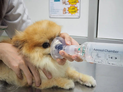 Espaçador de Câmara de Nebulizador Veterinário para Pets - Ferramenta Inaladora com 2 Máscaras Faciais de Silicone para Cães e Gatos