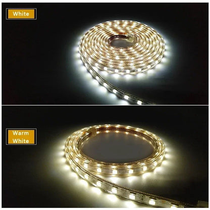 Fita de LED SMD5050 220V à Prova d'Água (1M/2M/5M/10M/20M) - Lâmpada de Corda Branco/Branco Quente/Vermelho/Verde/Azul com Plugue EU para Jardim