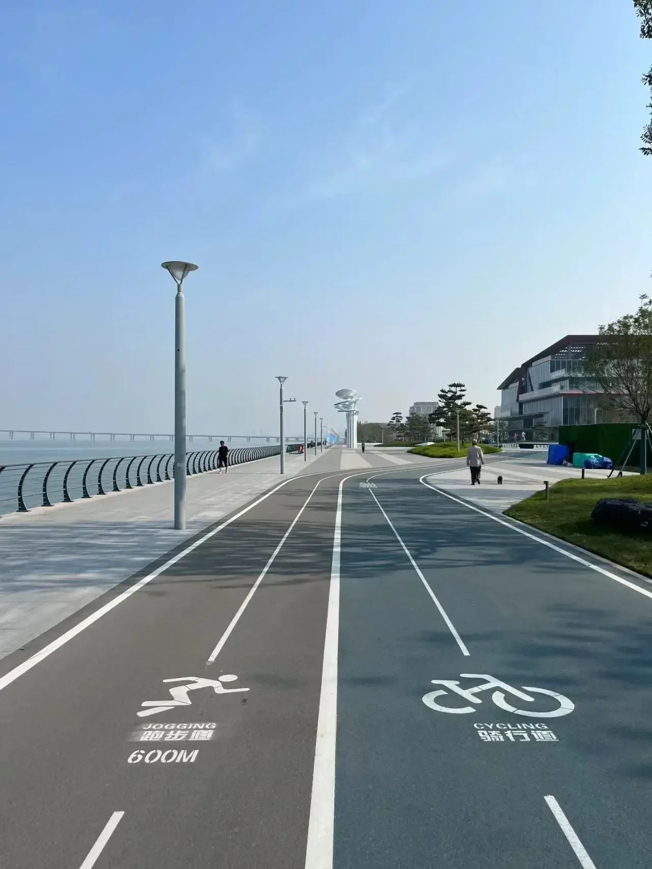 Luffy printed anime fitness vest summer new men s vest Y2k women s washed casual sleeveless shirt streetwear Harajuku