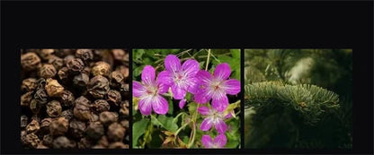 Luxury Brand Perfume Men Cologne Parfums Homme Gift Box 4Pcs Set 100ml Perfumes Masculinos Natural Floral Fruity Scent SprayLuxu