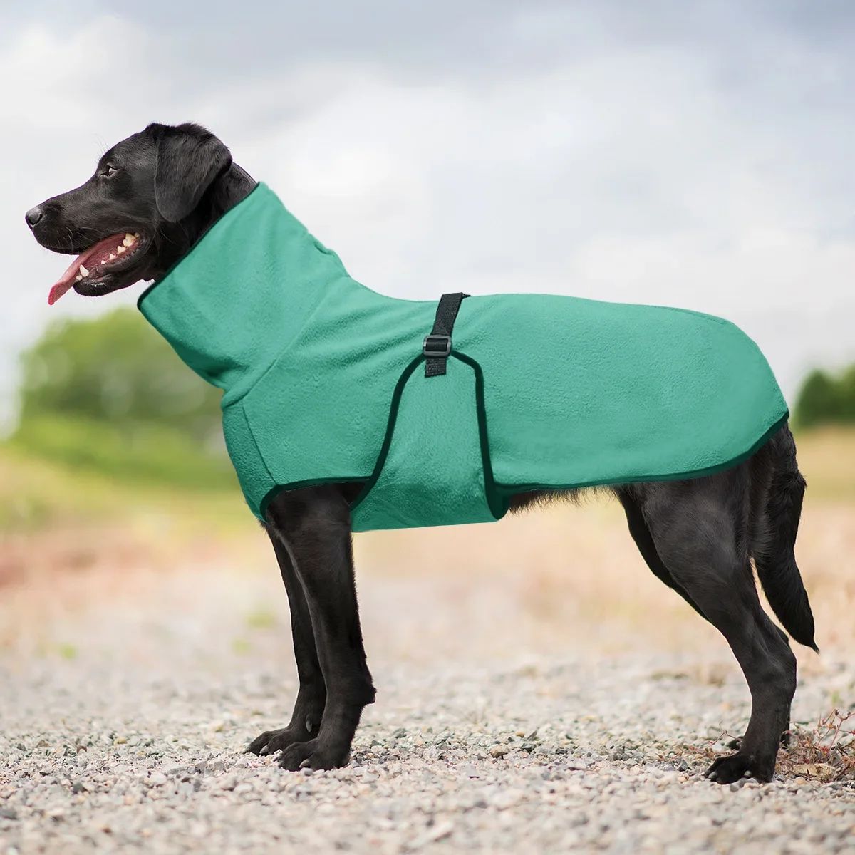 Roupas para Cães Grandes Colete de Inverno Quente para Cães Grandes Jaqueta para Animais de Estimação Casaco para Galgos Doberman Roupas para Cães de Porte Médio e Grande