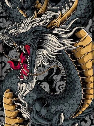 Men's Retro Print Plush Thick Long-Sleeved Coat Cardigan Dragon 3D Prined Fleece Hooded Overcoat Unisex Thick Warm Jacket