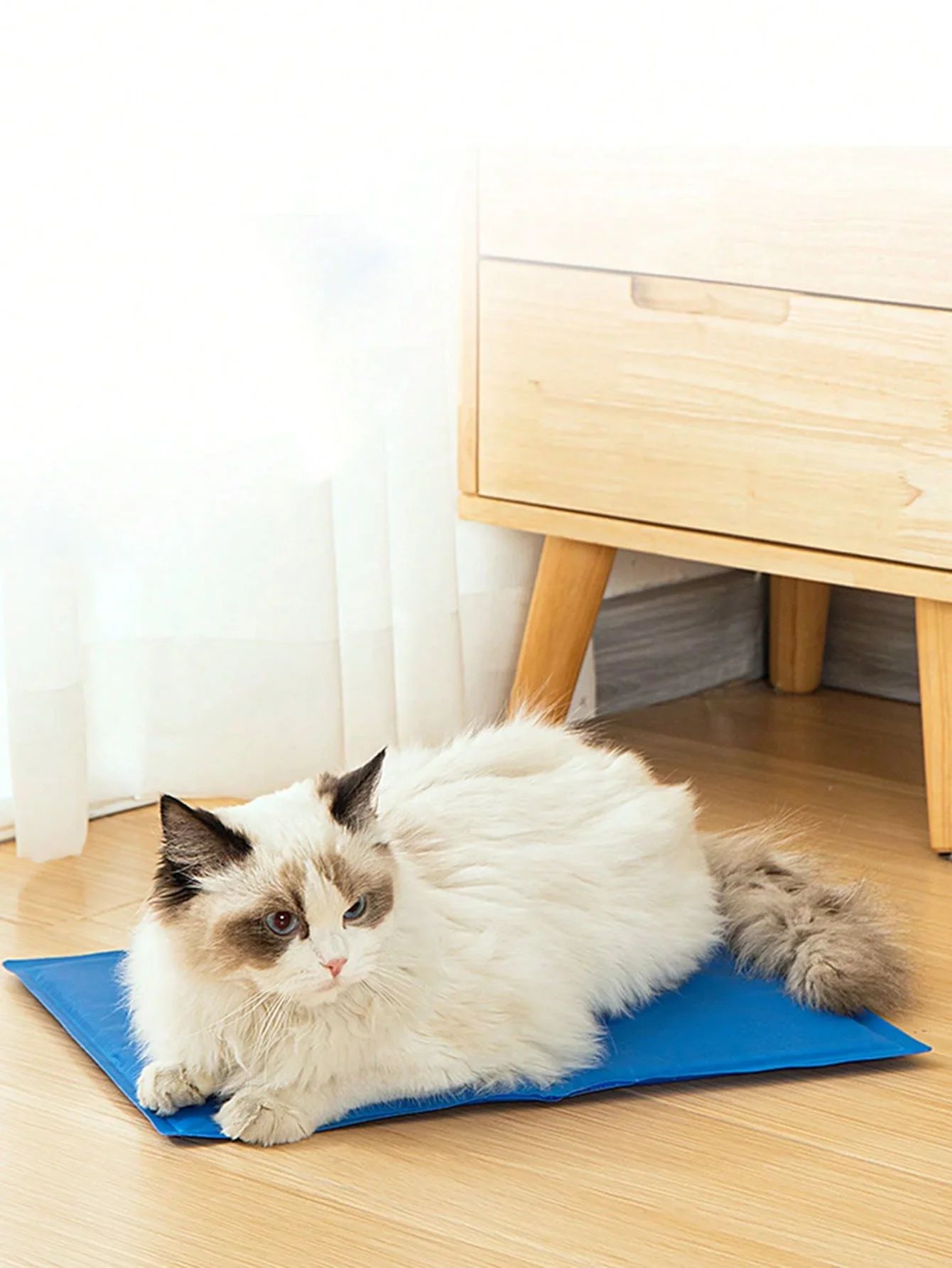 1 unidade - Nova Almofada de Gelo para Animais de Estimação Cães Gatos Verão Cooler Sleeping Pad Resistente ao Desgaste Refrigeração Alívio do Calor Esponja Gel Refrescante Suprimentos para Animais de Estimação