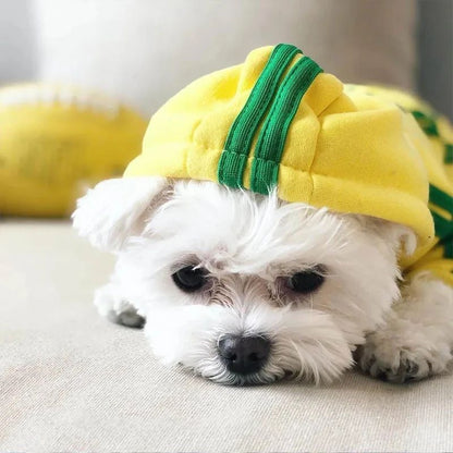 Roupas para animais de estimação Macacão para cães filhotes de buldogue francês Chihuahua Pug Roupas para cães pequenos e médios Roupinhas para filhotes