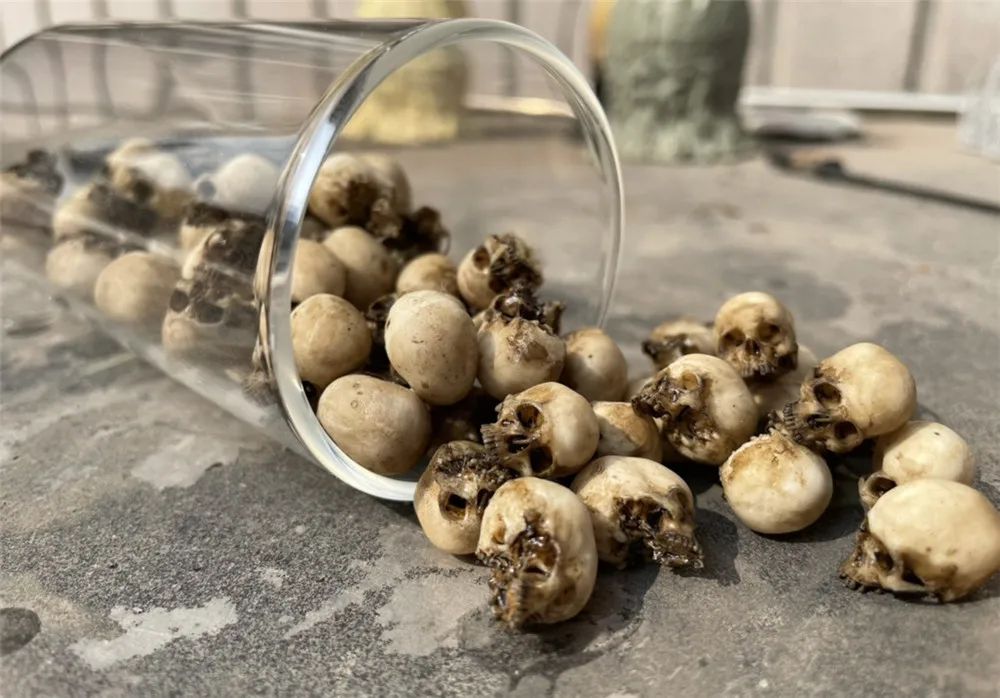 Mini Skull High Quality Miniature Model for Halloween Home Decor Dollhouse Plant Fish Tank Decoration