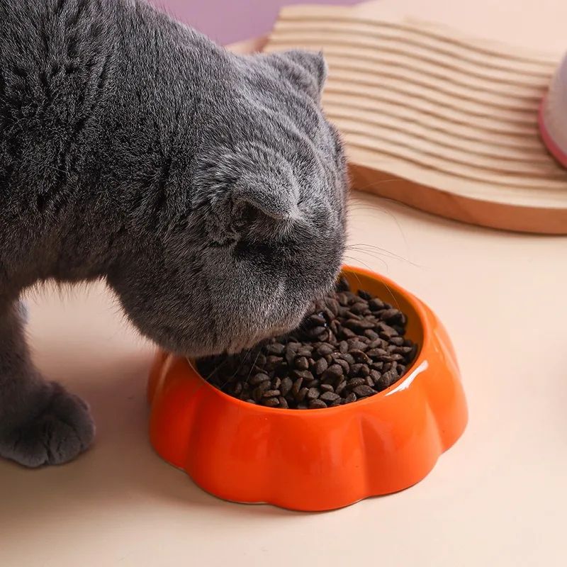4 tigelas fofas de cerâmica para pets, tigelas em formato de melancia e morango para gatos, tigelas coloridas para cães pequenos, fornecedores de água, tigela para gatos