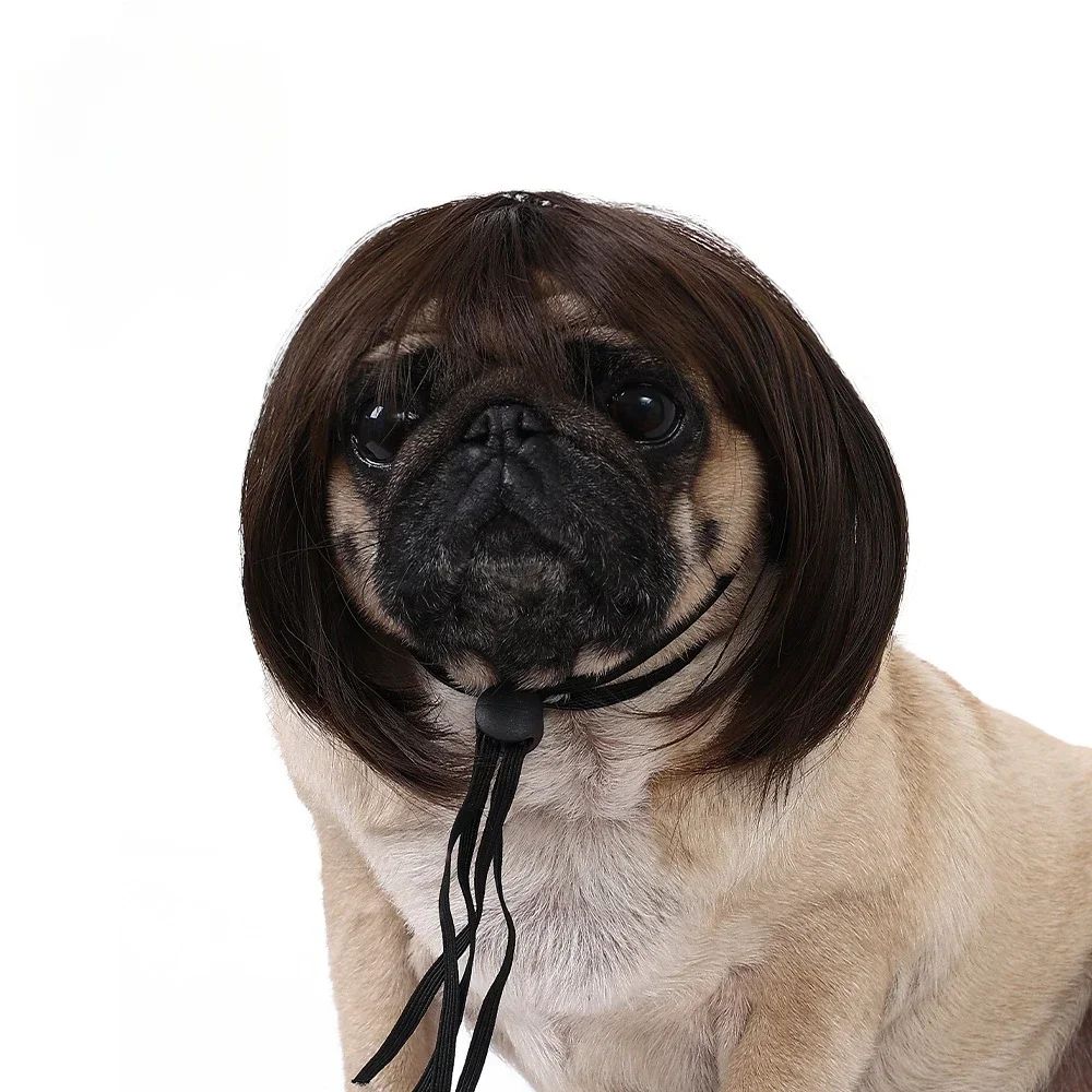 Peruca para Animais de Estimação, Peruca para Cachorro, Suprimentos para Animais de Estimação, Acessórios de Halloween para Animais de Estimação, Peruca de Cabelo Cacheado, Cabelo Liso, Peruca para Gato, Pode Ser Aparada (DIY)