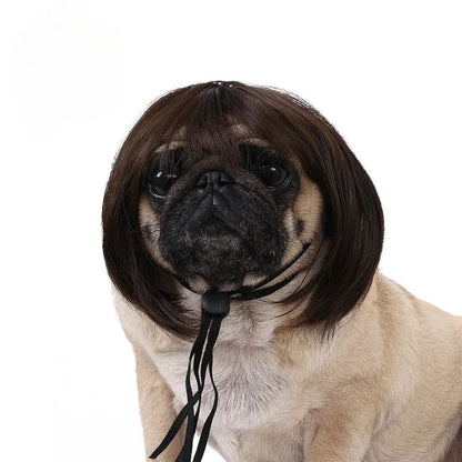 Peruca para Animais de Estimação, Peruca para Cachorro, Suprimentos para Animais de Estimação, Acessórios de Halloween para Animais de Estimação, Peruca de Cabelo Cacheado, Cabelo Liso, Peruca para Gato, Pode Ser Aparada (DIY)
