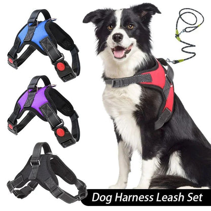 Conjunto de Coleira e Peitoral para Cães Sem Puxar, Ajustável, Confortável com Alça de Fácil Controle para Correr ao Ar Livre, Caminhar, Coleira Mãos Livres