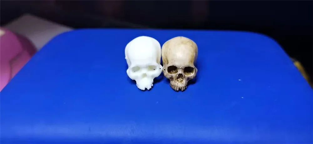 Mini Skull High Quality Miniature Model for Halloween Home Decor Dollhouse Plant Fish Tank Decoration