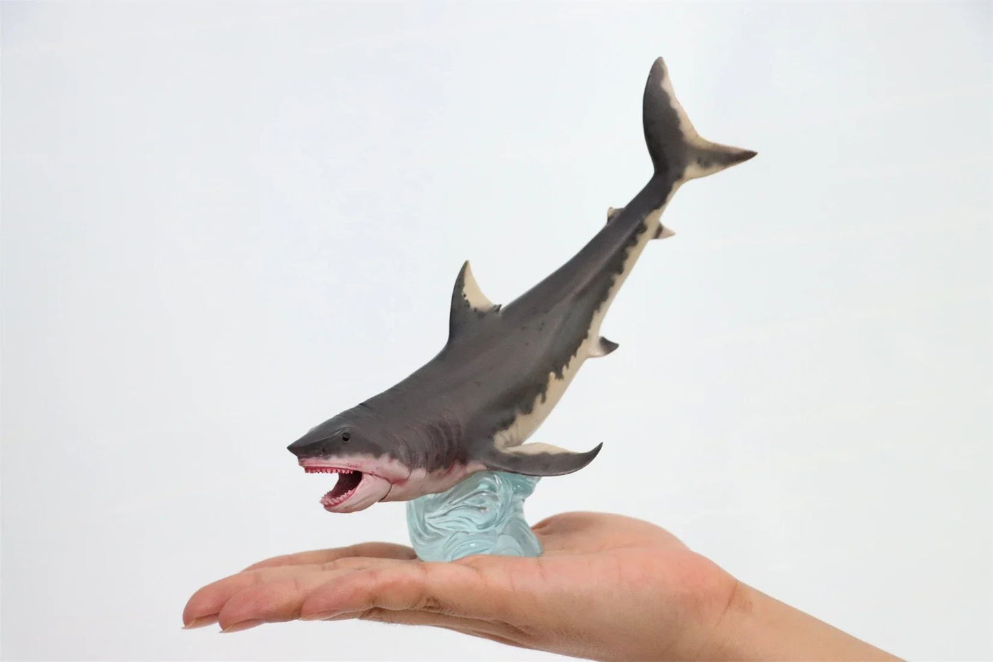 HAOLONGGOOD Megalodon Modelo Coleção de Tubarão Marinho Decoração de Mesa Realista Animal Marinho Pré-histórico Presente de Aniversário para Adultos