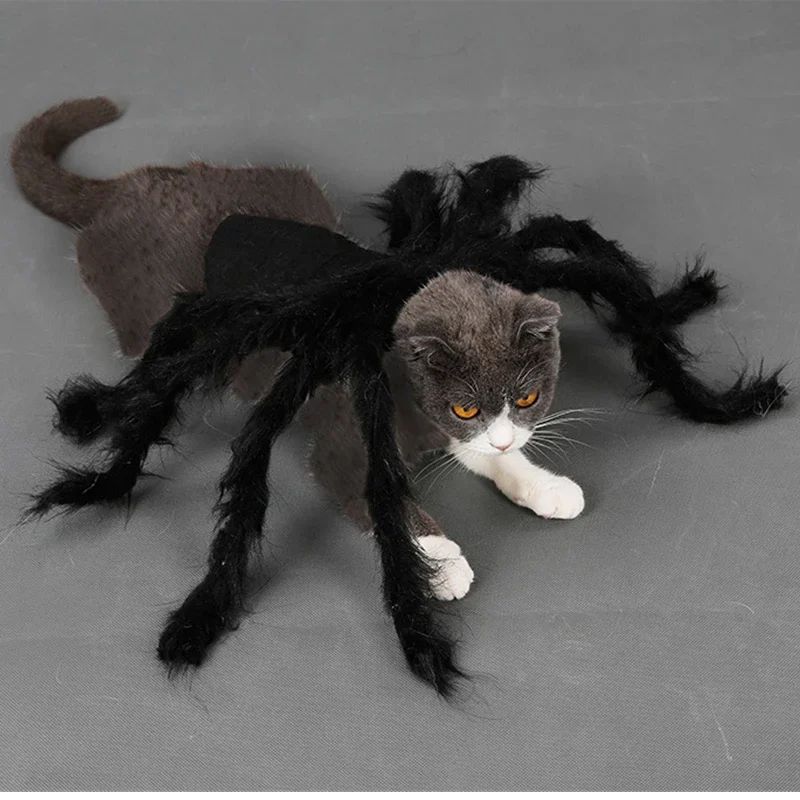 Fantasia de Aranha para Pet Design de Pelúcia Realista Cão Gato Festa Roupa Confortável Segura Fácil de Vestir e Tirar Diversão Celebração Acessórios para Pet
