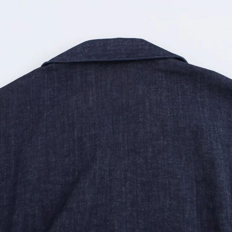 2025 traf Spring New 1975 series denim MIDI dress with lapel side zipper fashion