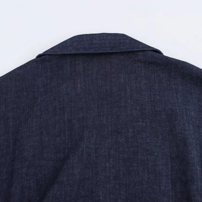 2025 traf Spring New 1975 series denim MIDI dress with lapel side zipper fashion
