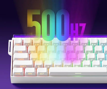AKKO x Veekos Shine60 HE Magnetic Switch Keyboard 60% Rapid Trigger Keboard RT 0.01mm Snap Key Custom Keyboard for Esports Gamer