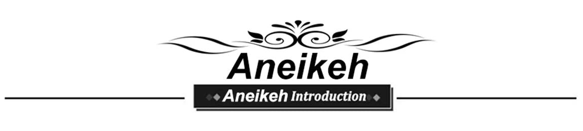 Aneikeh 2025 Verão Nova Banda Feminina Scarpins Sapatos Moda Raso Slip On Sandálias Slingback Salto Fino Alto Vestido Sapatos Sexy