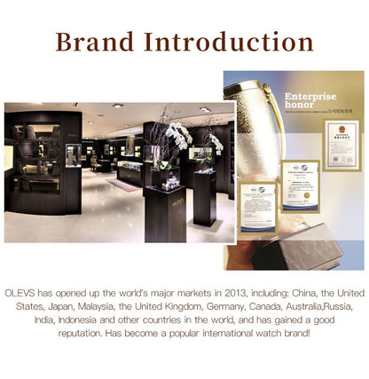 OLEVS Watch Women Fashion Elegant Stainless Steel Waterproof Quartz Wristwatch Luxury Ladies Dress Watches