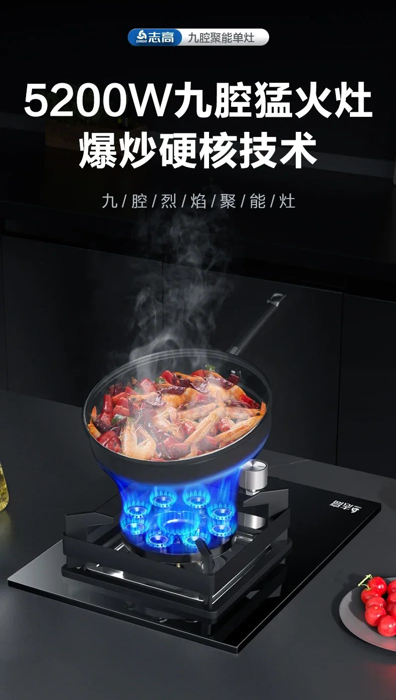 220V Energy-Saving Gas Cooker with Powerful Flame, Single Burner Natural Gas Cooktop for Home Kitchen A