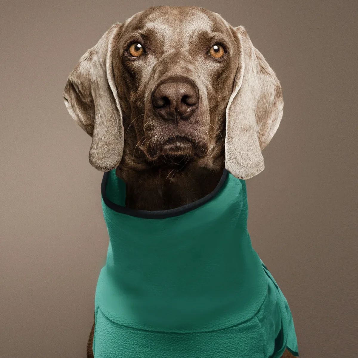 Roupas para Cães Grandes Colete de Inverno Quente para Cães Grandes Jaqueta para Animais de Estimação Casaco para Galgos Doberman Roupas para Cães de Porte Médio e Grande