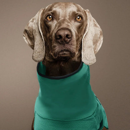 Roupas para Cães Grandes Colete de Inverno Quente para Cães Grandes Jaqueta para Animais de Estimação Casaco para Galgos Doberman Roupas para Cães de Porte Médio e Grande