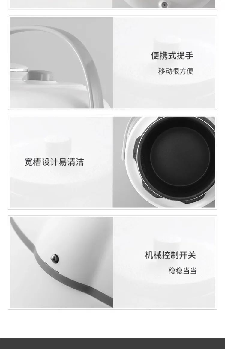 110V/220V Electric Pressure Cooker Multifunction Home Use for USA Japan Canada Export BBD