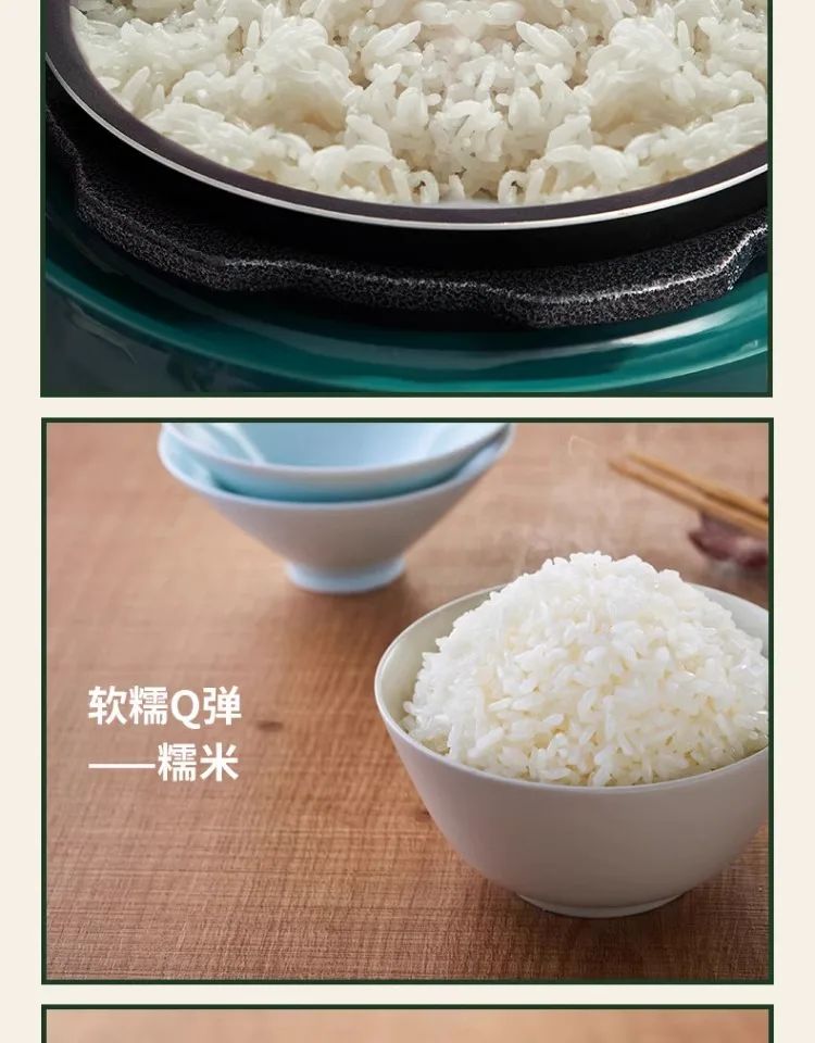 Mini Electric Pressure Cooker: New Model Small Rice Cooker for 1-2 People (3-Cup Capacity)