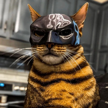Máscara de Gato Preto Vingador Chapéu de Fantasia de Halloween com Orelhas para Animais de Estimação Acessórios Engraçados para Fotos de Festa