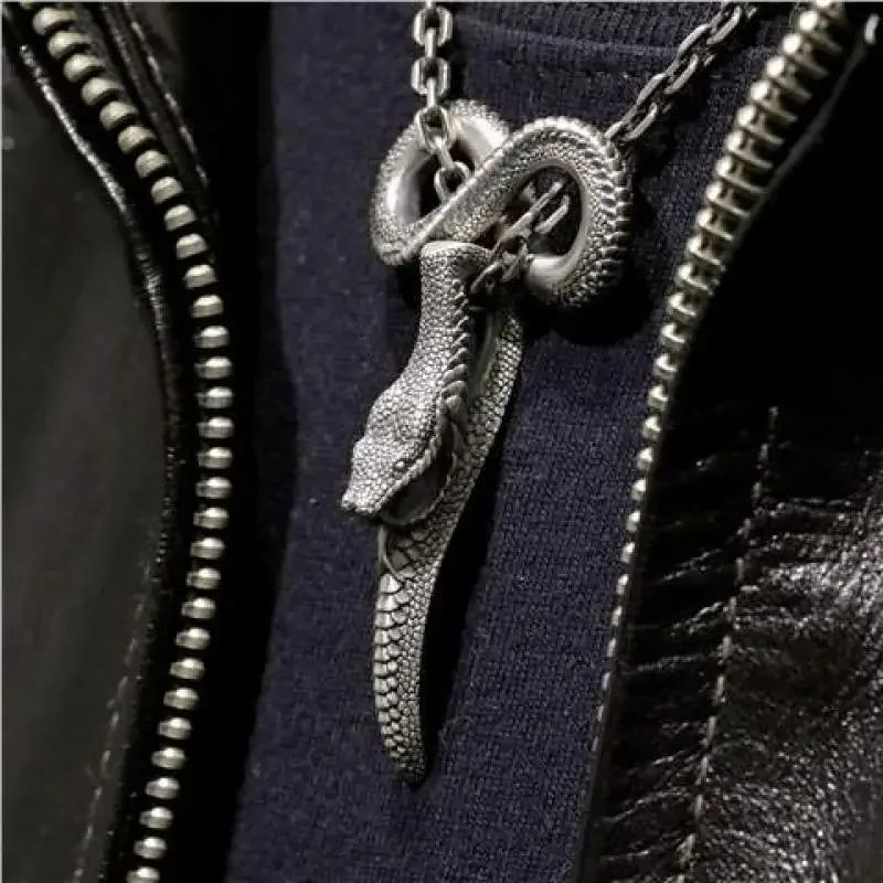 Colar de Pingente de Caveira Demoníaca Enrolada de Cobra Gótica Vintage para Homens Meninos Festa de Rock Halloween Joia de Presente