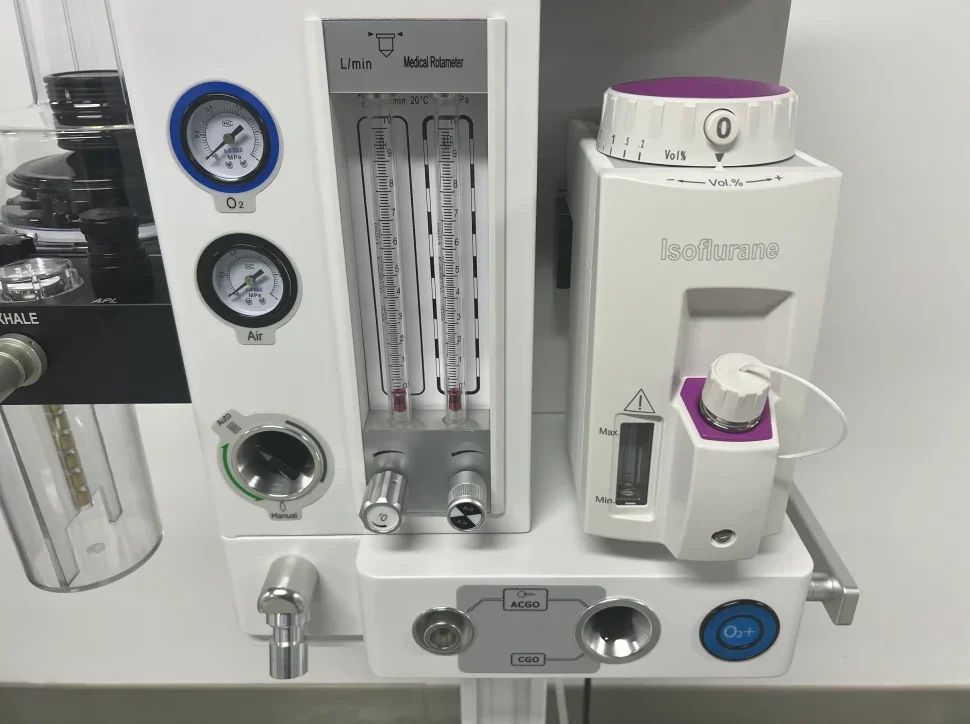 Máquina de Anestesia Veterinária Integrada DA1200V9 com Aquecimento de Circuito Respiratório para Animais de Estimação e Fonte Dupla de Ar Inteligente