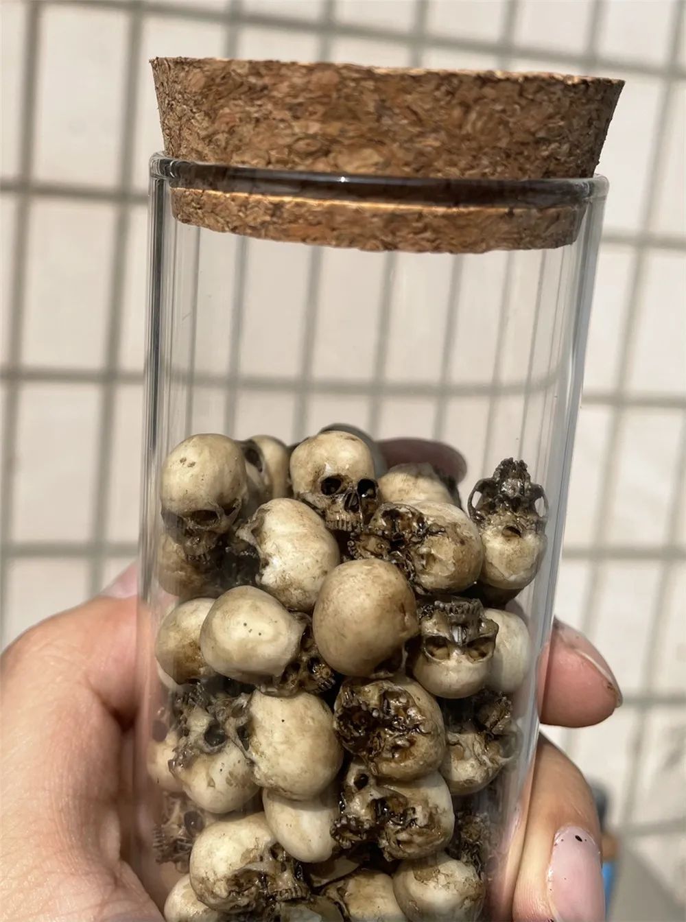 Mini Skull High Quality Miniature Model for Halloween Home Decor Dollhouse Plant Fish Tank Decoration