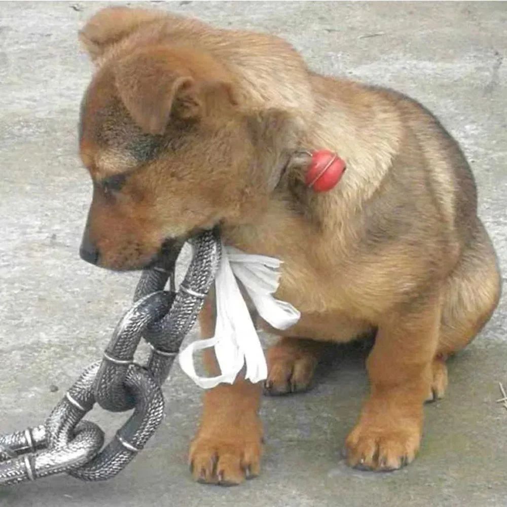 Corrente de Ferro de Simulação de Plástico Gigante para Cães Guias de Plástico Grosso para Cães Corda de Tração Divertida para Filhotes Grande Corrente de Ferro Acessórios para Cães de Estimação