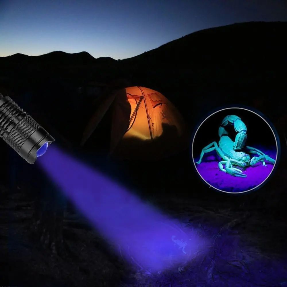 365/395nm UV Flashlight Zoomable Ultra Violet Torch Ultraviolet Lights for Pet Urine Stains Scorpions Fluorescent Agent Detector