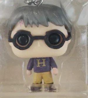 2025 Novo Chaveiro FUNKO Harry com Caixa Ginny Ron Fawkes Hedwig Hermione Pocket Boneco de Ação de Vinil Brinquedos Presentes Decoração