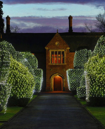 Luzes de corda de rede de LED 8 modos 220V 110V plugue UE/EUA Festival Decoração de Natal Guirlandas Festa de Natal Jardim Ano Novo Casamento