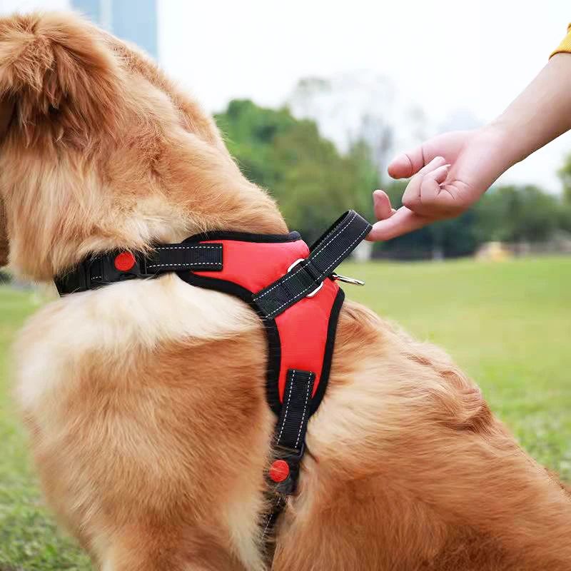 Conjunto de Coleira e Peitoral para Cães Sem Puxar, Ajustável, Confortável com Alça de Fácil Controle para Correr ao Ar Livre, Caminhar, Coleira Mãos Livres