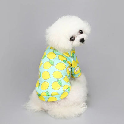 Chihuahua Moletom Para Cães Filhote Gato Pulôver Cães Pequenos Casaco com Capuz para Cães Roupas Quentes de Inverno para Animais de Estimação para Bulldog