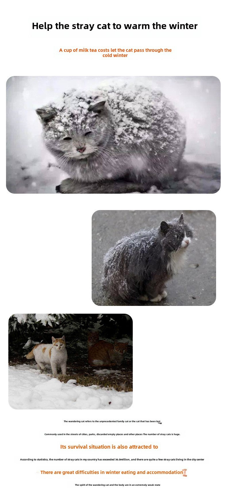 Stray Cat dog House Waterproof Outdoor Winter Warm Pet Cave Sleeping Beds Home Foldable Washable for Small Dog Puppy Supplies