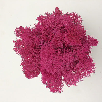 200/1000g Quality Artificial Green Plant Eternal Life Moss Fake Flower Moss Grass Home Living Decorative Wall DIY Micro Landscap