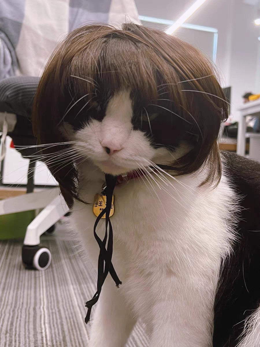 Peruca para Animais de Estimação, Peruca para Cachorro, Suprimentos para Animais de Estimação, Acessórios de Halloween para Animais de Estimação, Peruca de Cabelo Cacheado, Cabelo Liso, Peruca para Gato, Pode Ser Aparada (DIY)