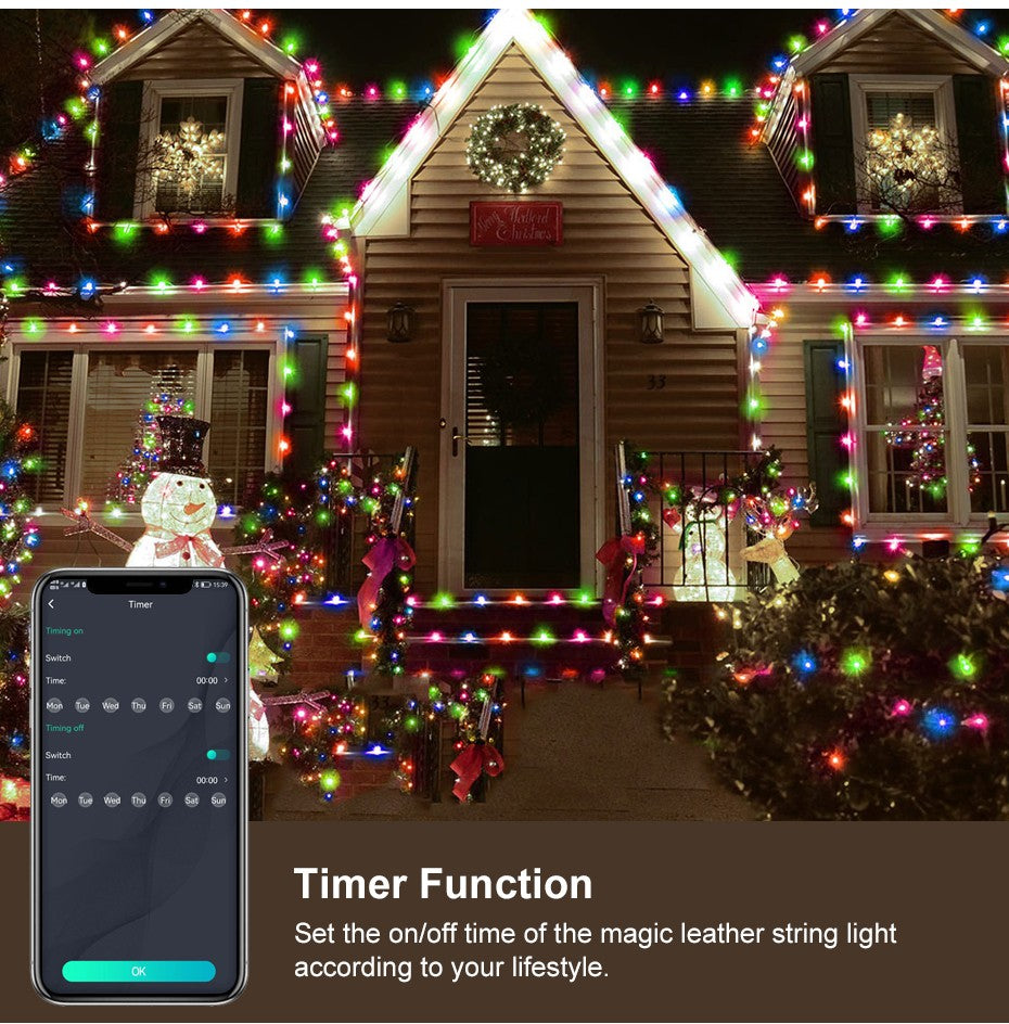 Bluetooth Smart LED String Fairy Lights 5V WS2812B Christmas Garland Light RGBIC Dream Color Waterproof IP67 for Party Holiday