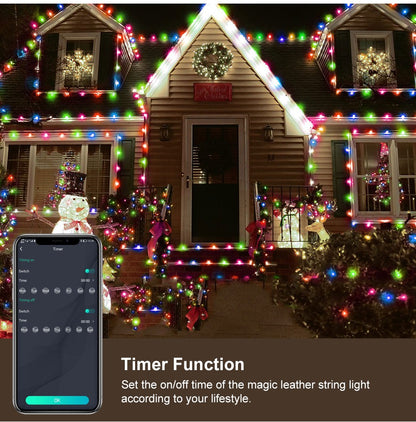 Bluetooth Smart LED String Fairy Lights 5V WS2812B Christmas Garland Light RGBIC Dream Color Waterproof IP67 for Party Holiday