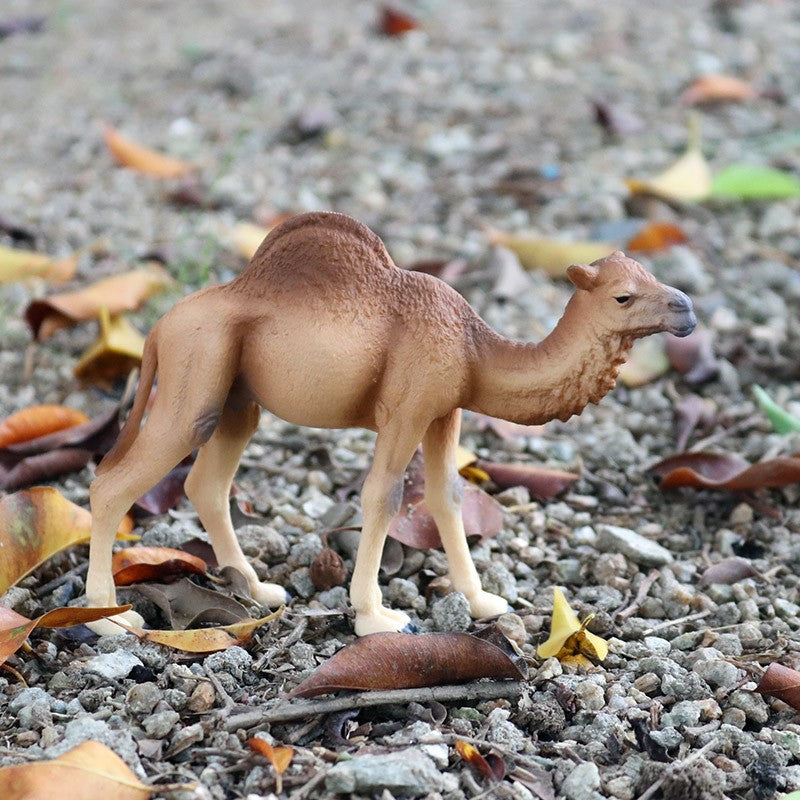 Oenux Simulação Animais Selvagens Brinquedo Camelo do Deserto Burro Alpaca Antílope Cervo Veado Modelo Bonecos de Ação PVC Decoração Presente Infantil