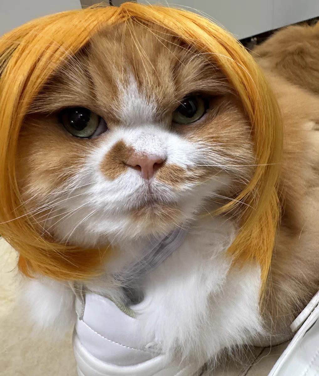 Peruca para Animais de Estimação, Peruca para Cachorro, Suprimentos para Animais de Estimação, Acessórios de Halloween para Animais de Estimação, Peruca de Cabelo Cacheado, Cabelo Liso, Peruca para Gato, Pode Ser Aparada (DIY)