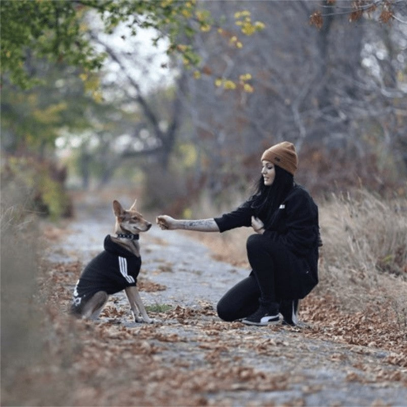 XS-9XL Roupa para Cachorro Adidog para Cães Pequenos Médios Grandes Moletom com Capuz de Algodão Quente Mais Vendido Jaqueta de Duas Pernas para Animais de Estimação