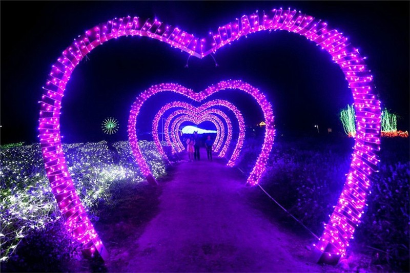 5M 10M 20M 30M 50M 100M Waterproof Outdoor 110V/220V LED String Light For Christmas Tree New Year Weeding String Lamp