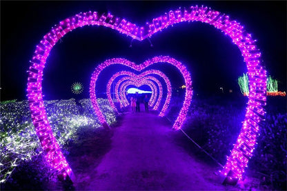 5M 10M 20M 30M 50M 100M Waterproof Outdoor 110V/220V LED String Light For Christmas Tree New Year Weeding String Lamp