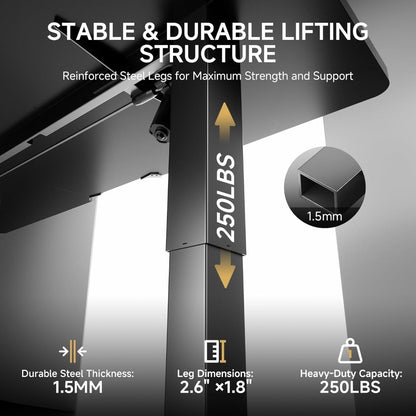 Electric Standing Desk, 55 x 24 Inches Sit Stand up Desk with Memory Preset Controller, Height Adjustable Ergonomic Home Office